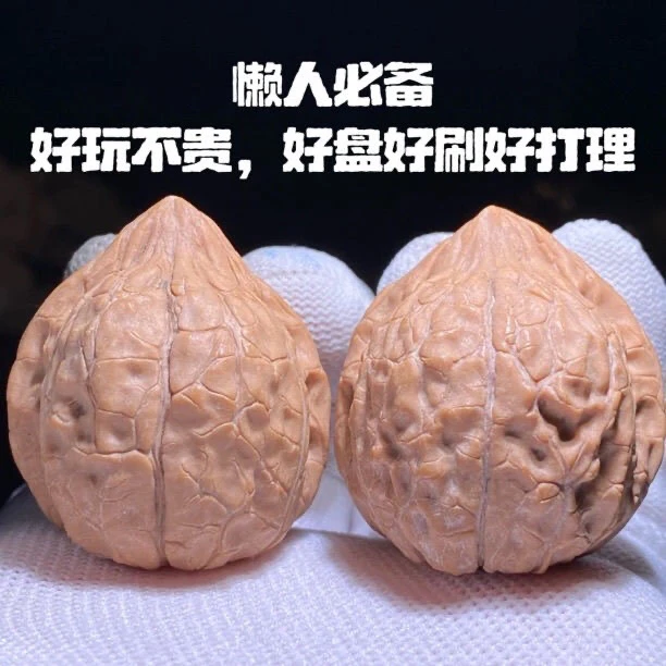 小众文玩麻核桃（品种：龟甲纹）