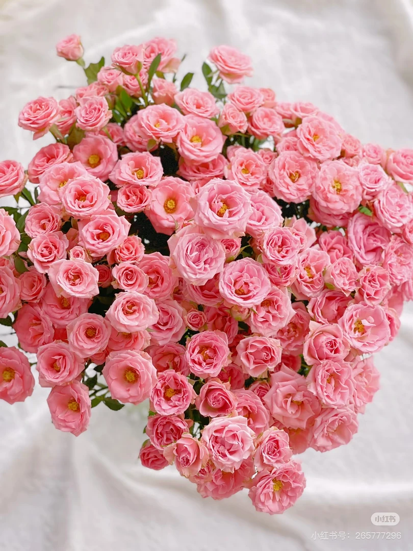 【董小姐】露露公主多头帝王玫瑰A级鲜花云南直发顺丰包邮