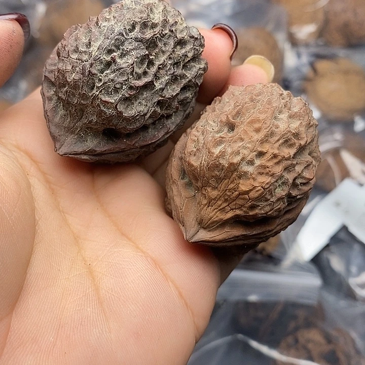 把件文玩核桃60号45mm