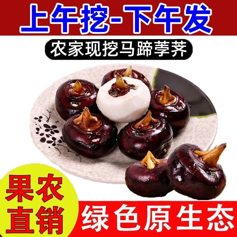 【精选马蹄】新鲜马蹄当季整箱新鲜时令水果蔬菜脆甜多汁产地直发