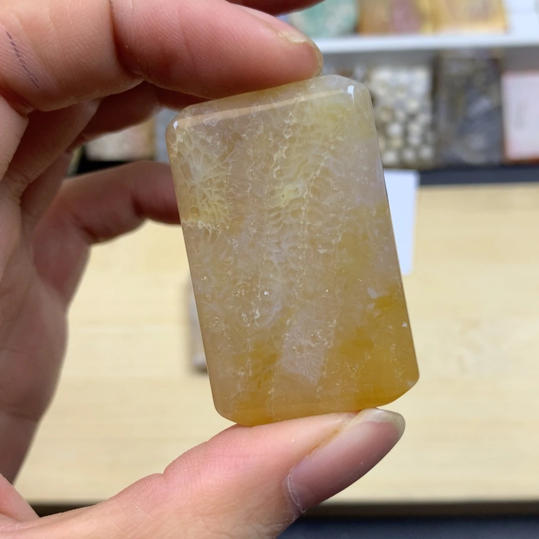 冒***泡硅化珊瑚（珊瑚玉）未镶嵌颈饰