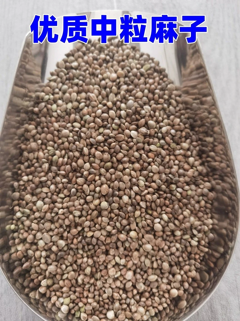 鸟零食薄皮纸壳粮食麻子中粒牡丹玄凤虎皮鹦鹉专用饲料油料增肥