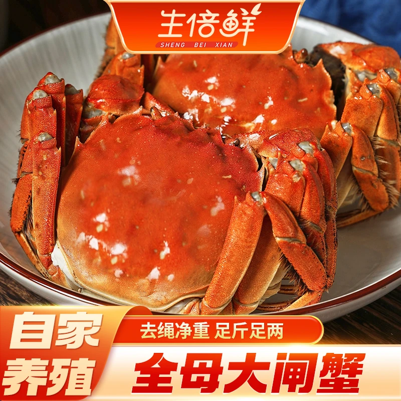 【活蟹】苏州精品大闸蟹全母蟹3.5-3.2两加赠2只-5对
