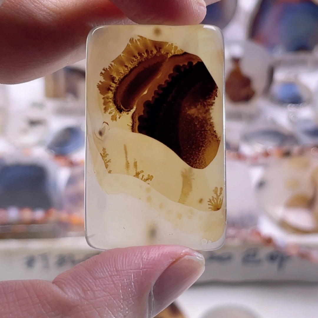 玛瑙/玉髓未镶嵌珠宝奇石