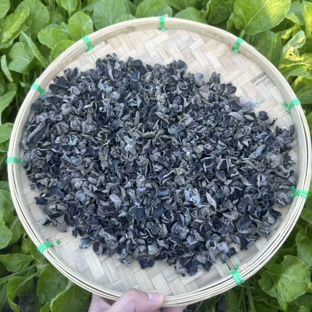 正宗干木耳 可炒菜