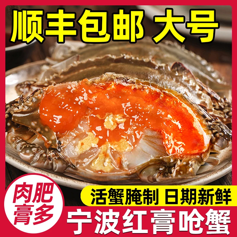 顺丰舟山宁波特产整只红膏呛炝蟹大号净重非活蟹生腌梭子螃蟹即食