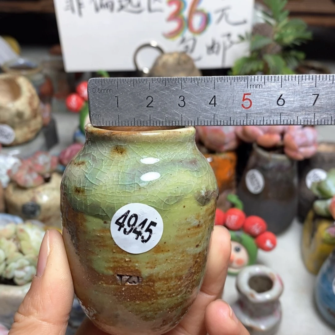 花盆拍5送一个小礼物