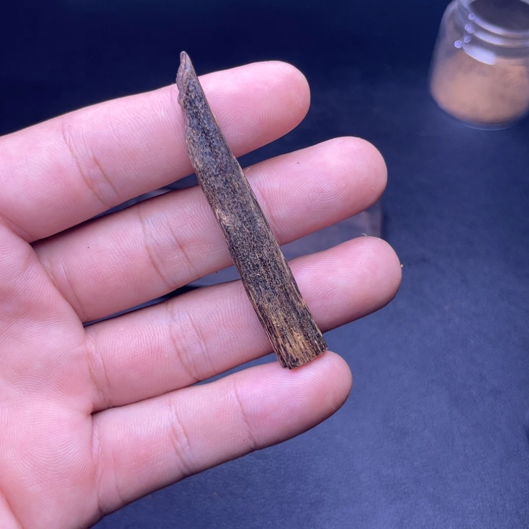 香榧木越南沉水老树心3克