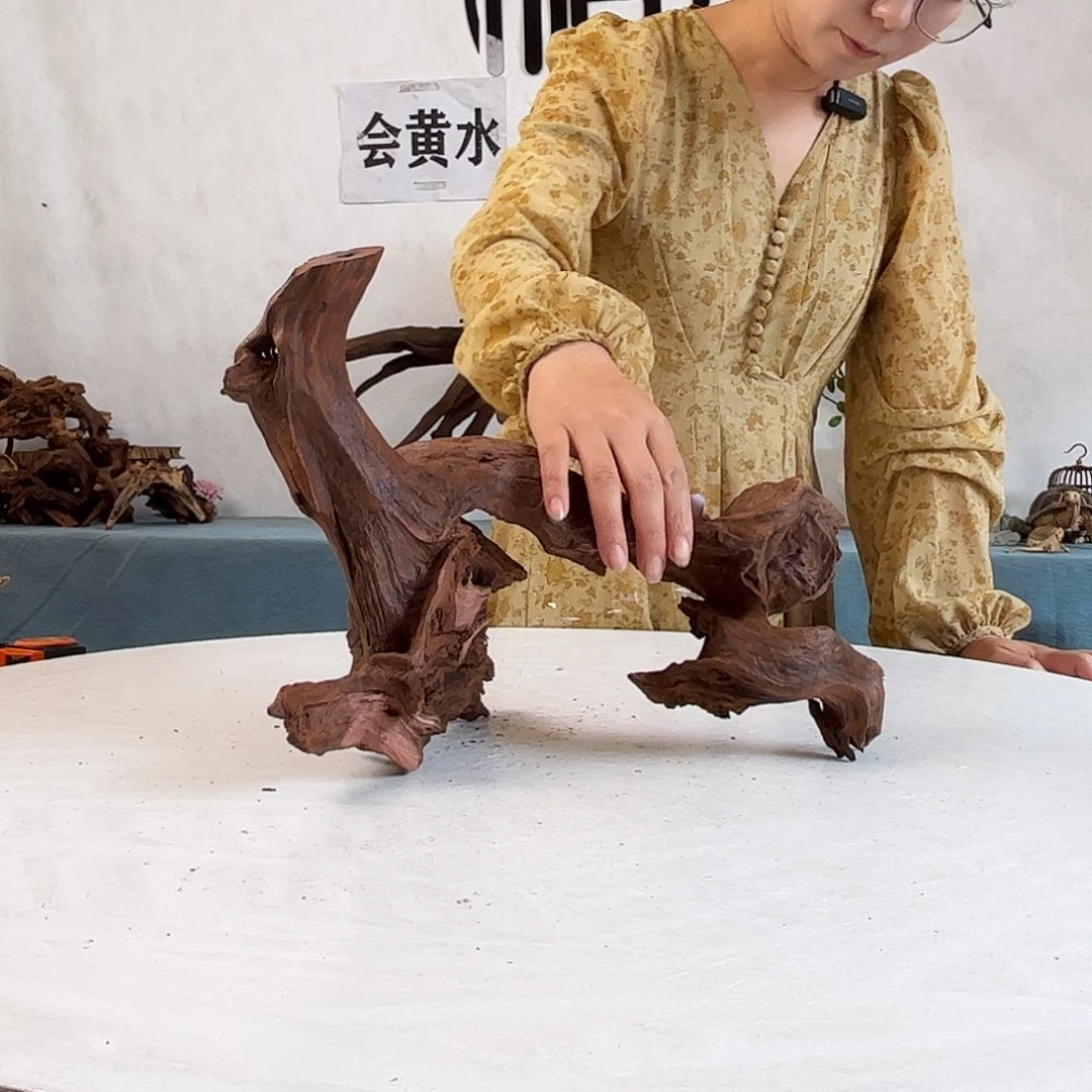 沉木造景寄居蟹景