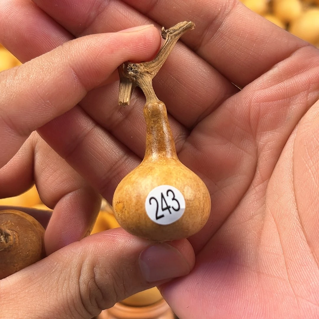 四葫芦葫芦葫芦葫芦243