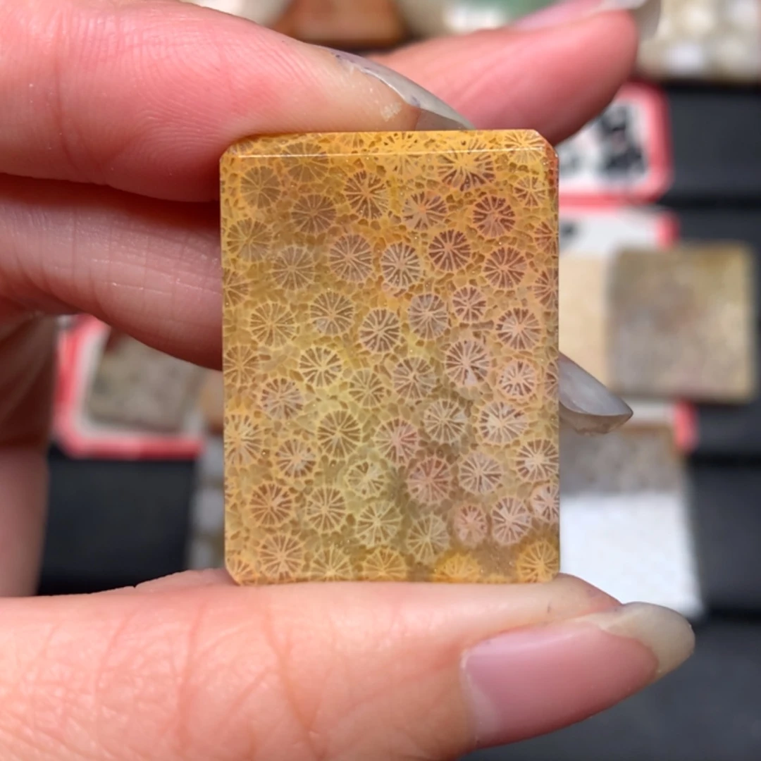 【闪购商品】硅化玉颈饰未镶嵌?****?
