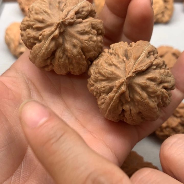 文玩核桃把件全品霸王龙40