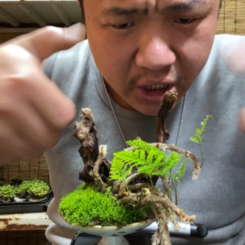 红陶德**手一物一拍所见即所得78