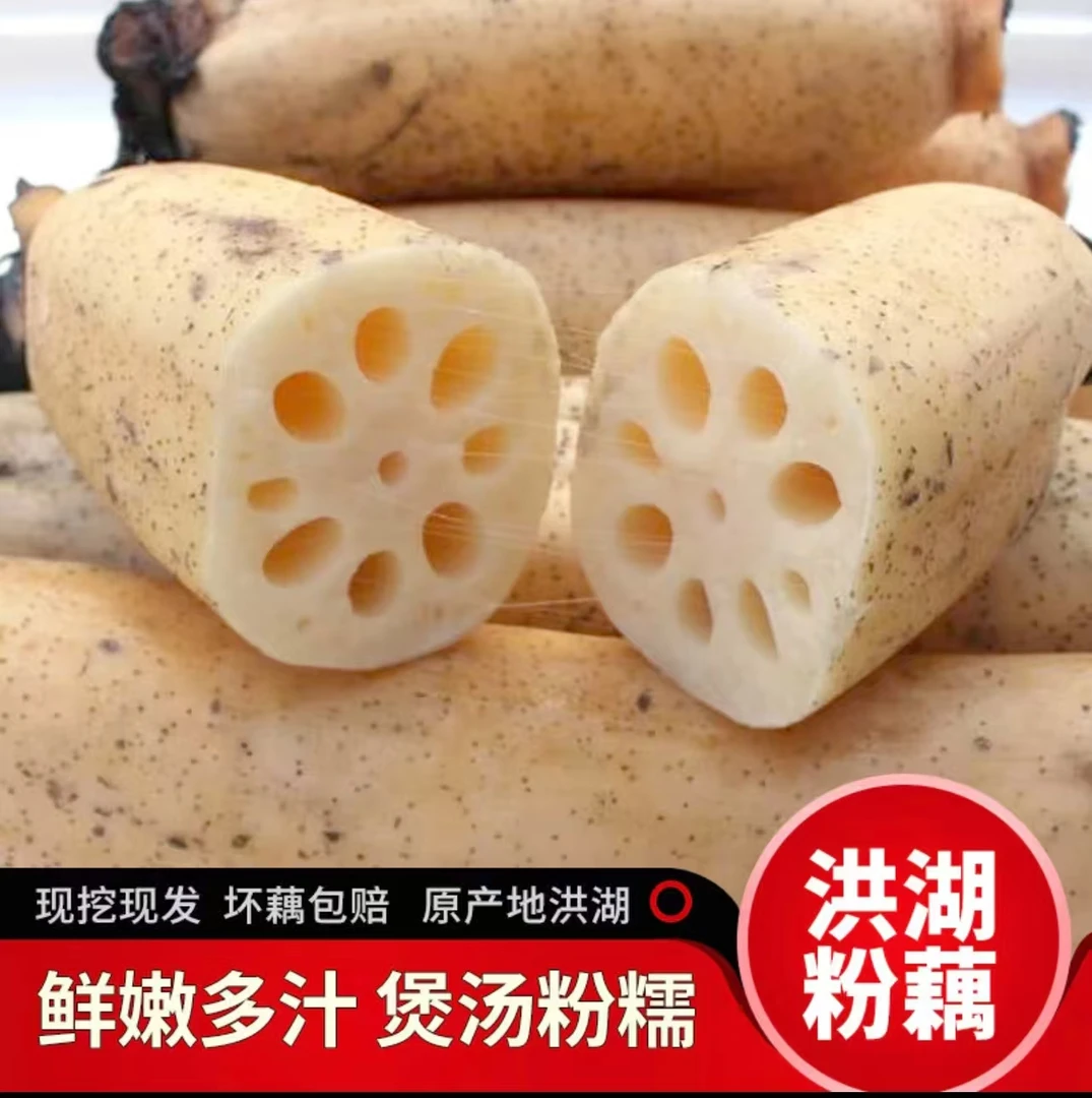 【湖北洪湖莲藕】精选中段带泥九孔煲汤粉藕红藕产地现挖1斤5斤