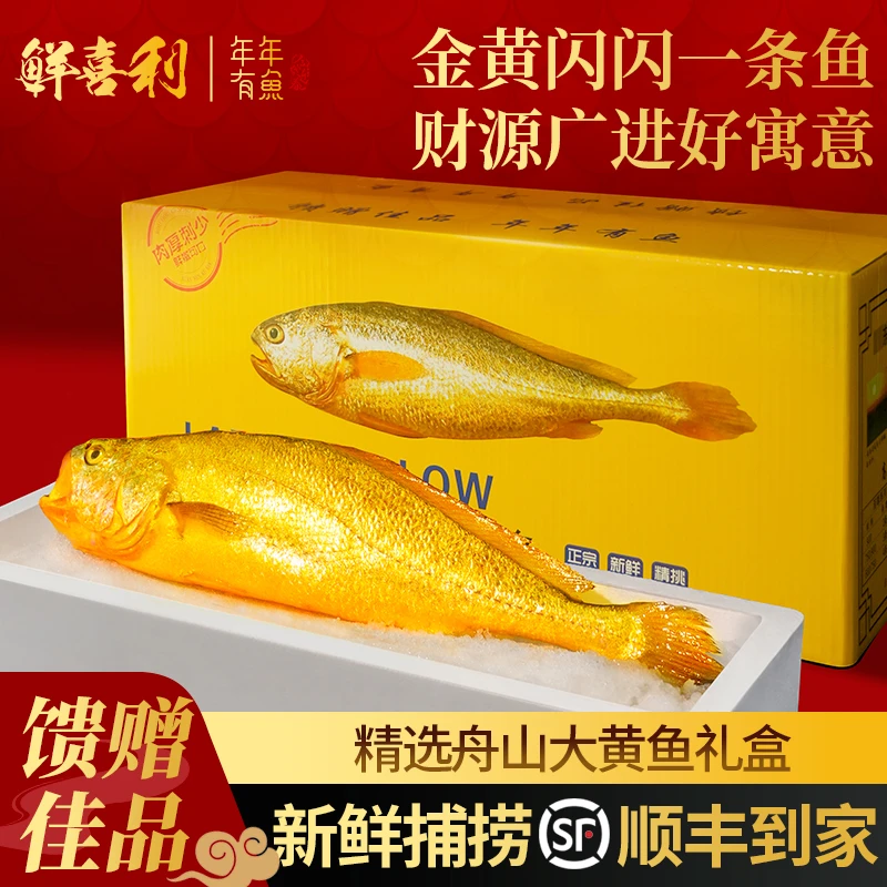 舟山大黄鱼大礼包高档礼盒装端午节日送礼新鲜深海黄花鱼海鲜水产