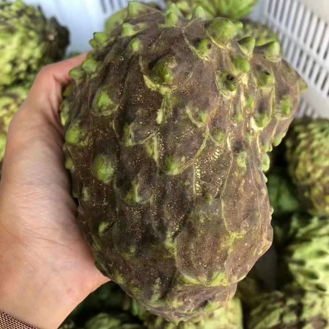 花皮释迦果新鲜现摘广西凤梨释迦果香甜多汁热带水果番荔枝牟尼果