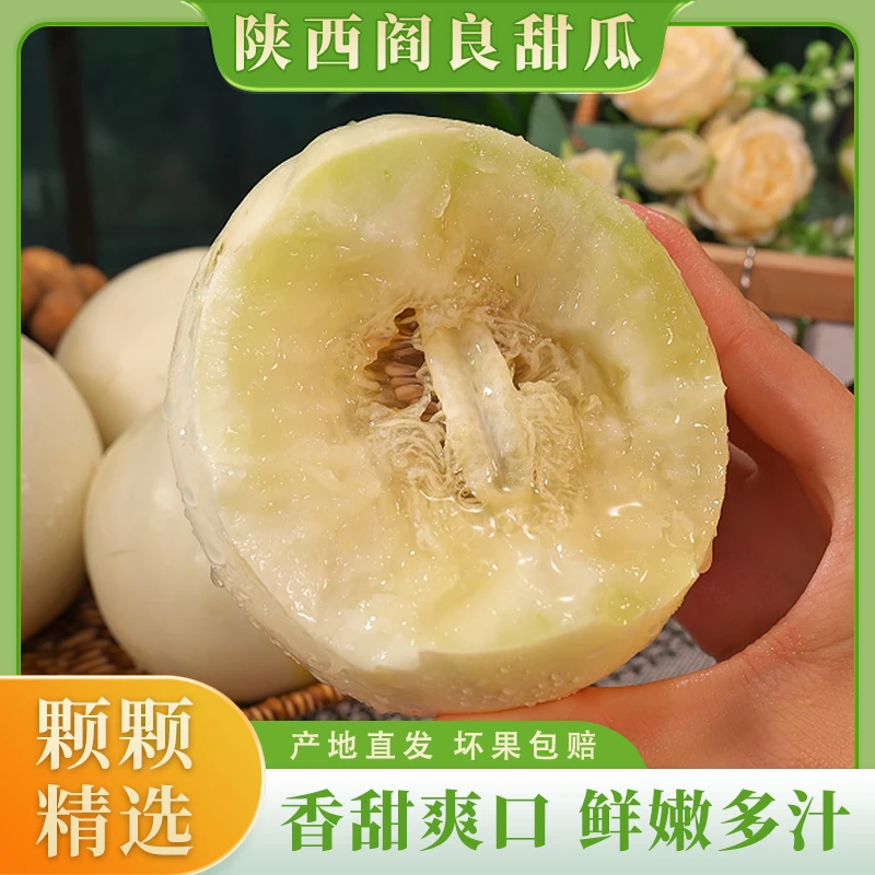 陕西阎良甜瓜新鲜头茬蜜瓜甜瓜白皮小籽香瓜香甜多汁精选1.8斤起