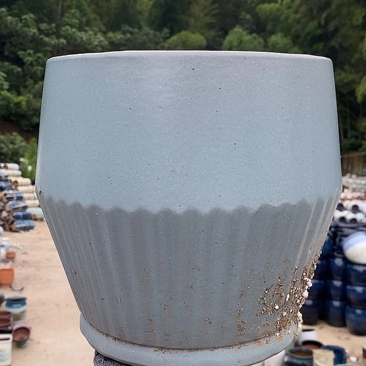 正品品质抓紧入手