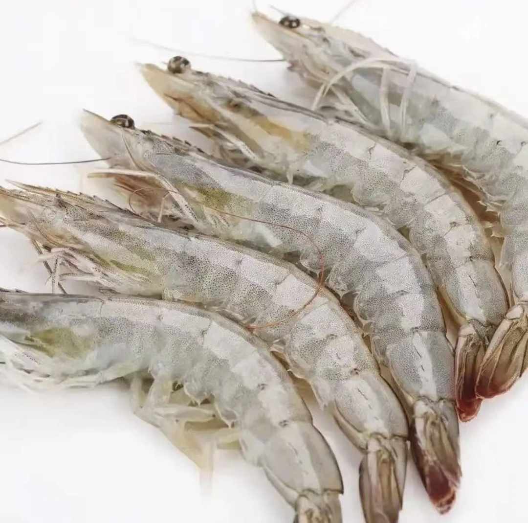 渔船海捕 大虾 海水虾 大号海虾14-18只速冻锁鲜新鲜味美整箱5斤