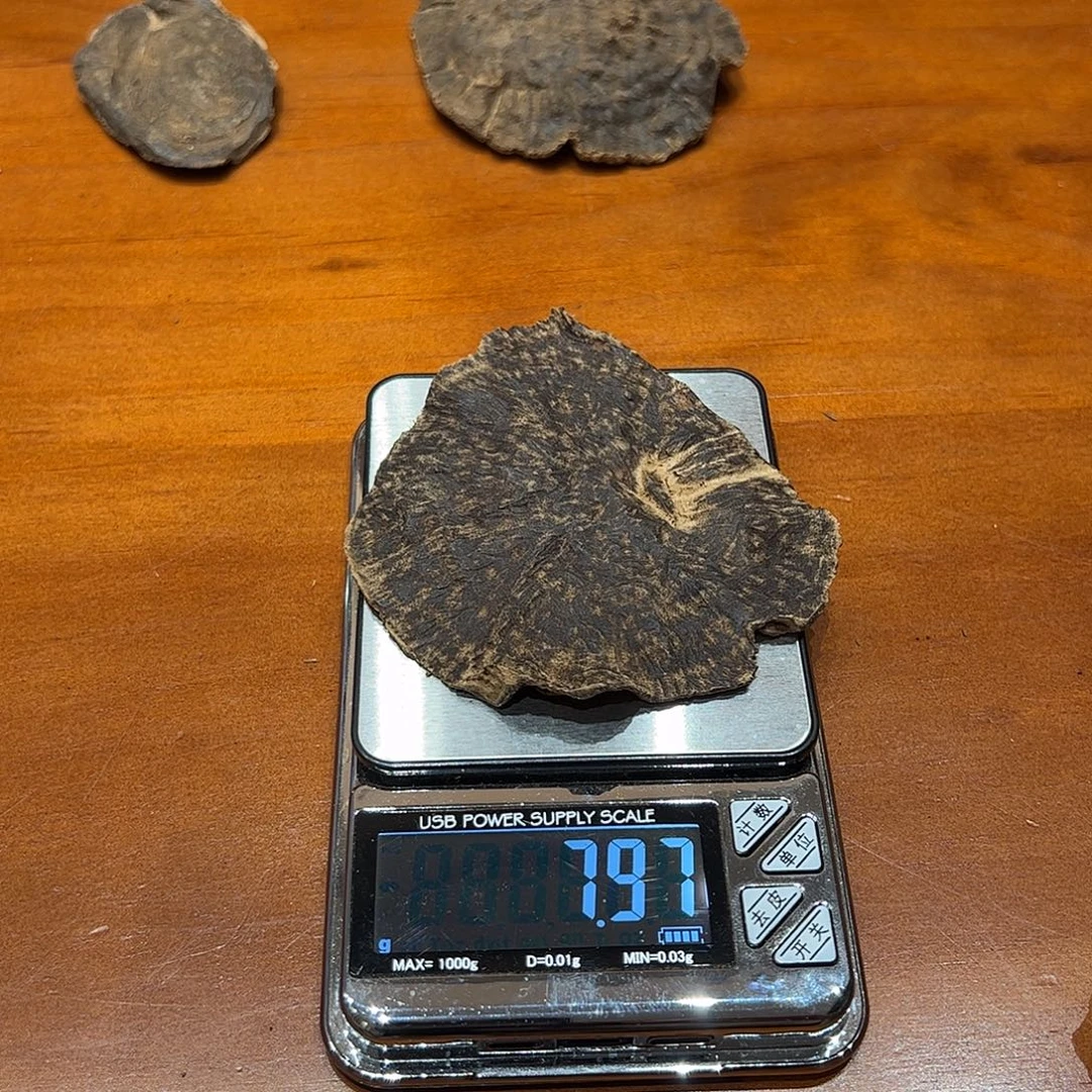 沉香碎屑沉香海南天然野沉香7.9g+