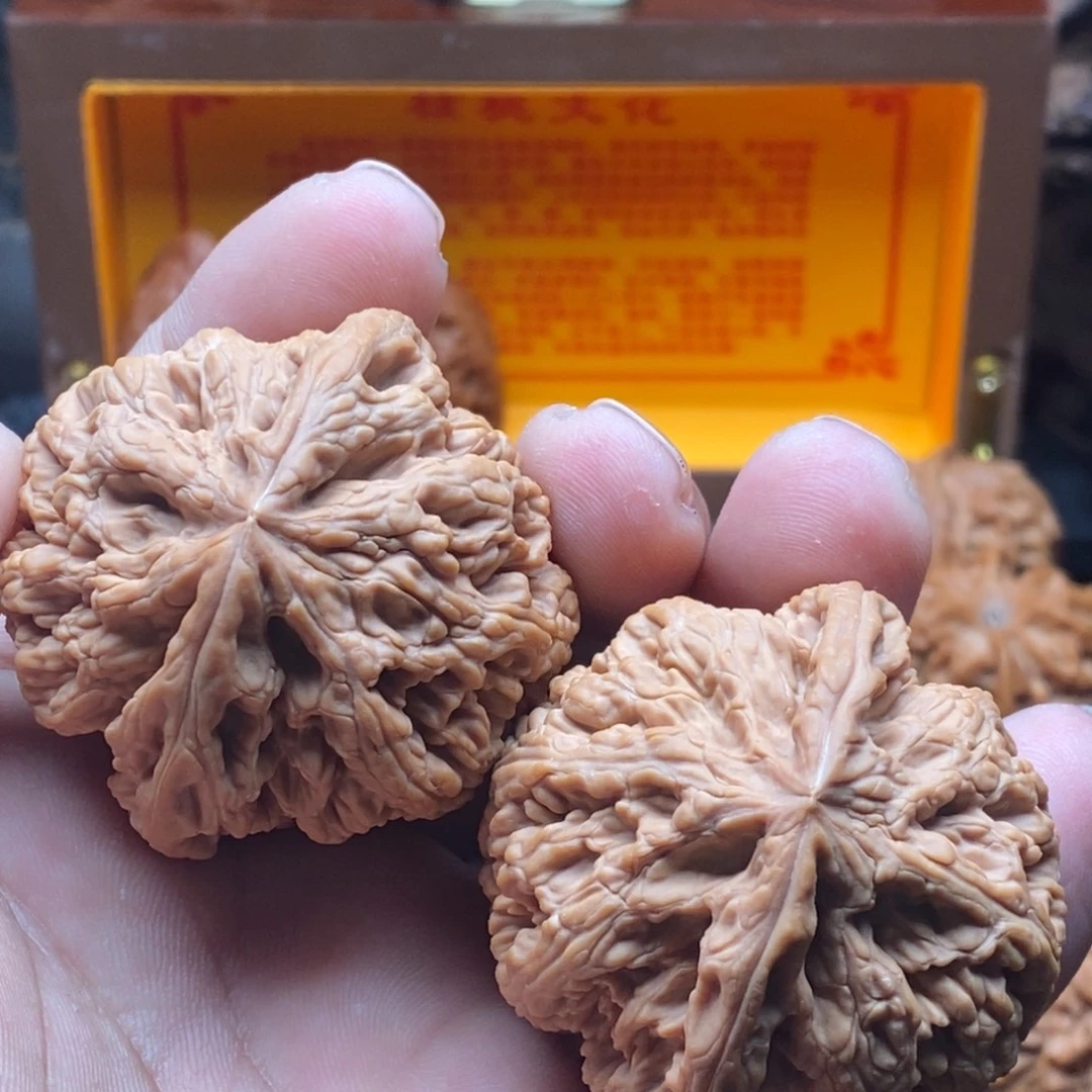 核桃45全品大粗筋