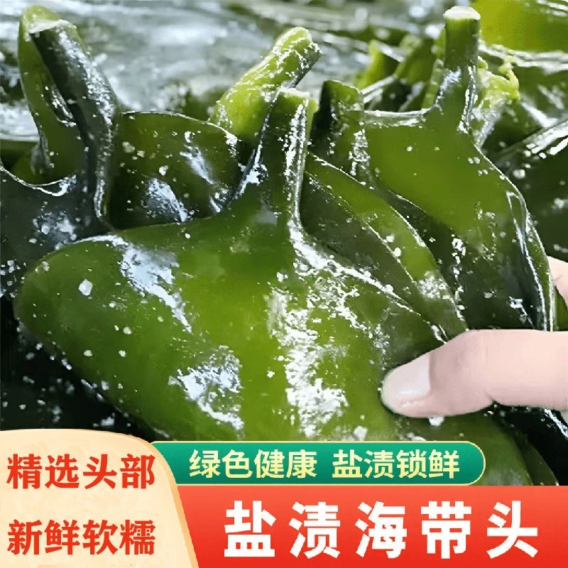 正宗霞浦盐渍海带头 新鲜海带头茬干净凉拌火锅炒菜煲汤炖排骨