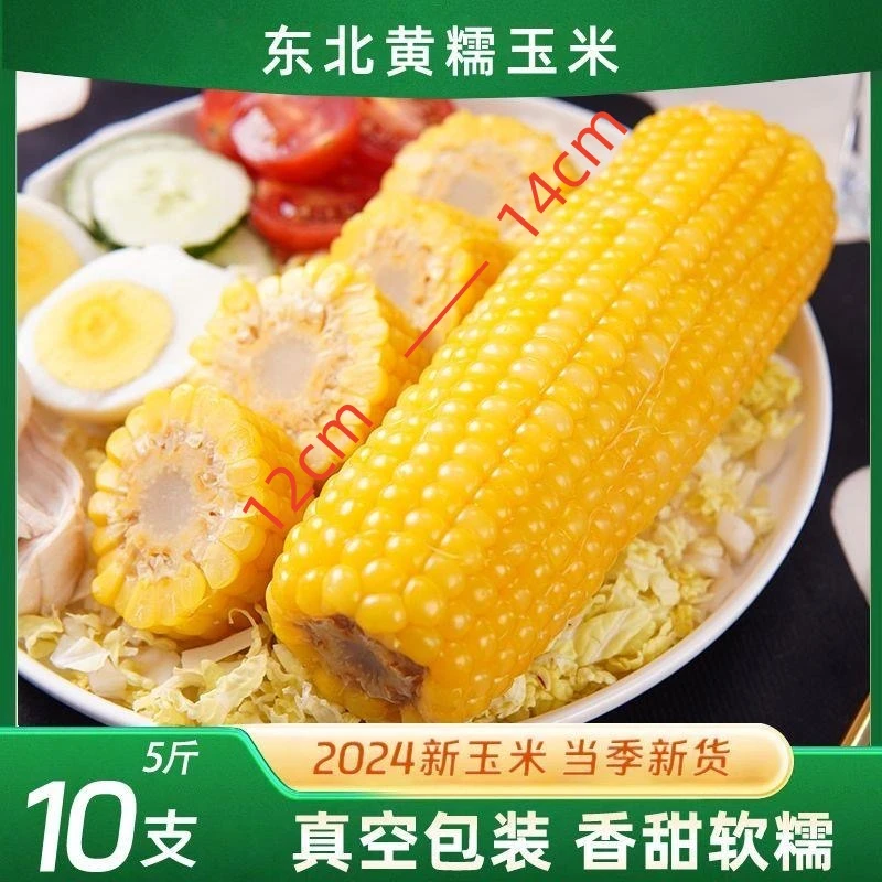 【试吃2根】头茬东北黄糯玉米10根整箱5斤单根长12-14厘米