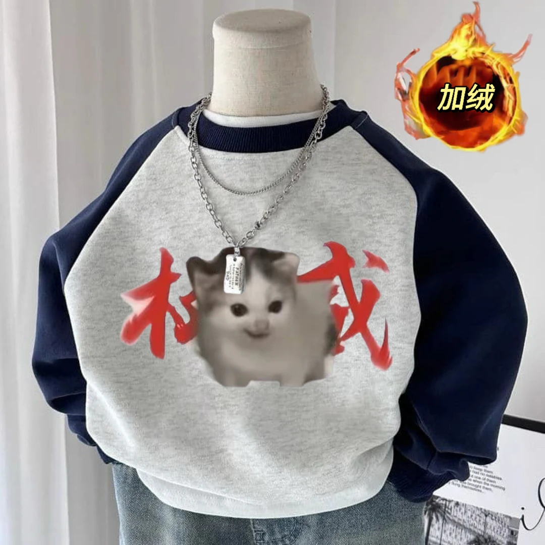儿童秋冬款趣味权威猫咪印花卫衣加绒童装百搭男女童休闲圆领上衣