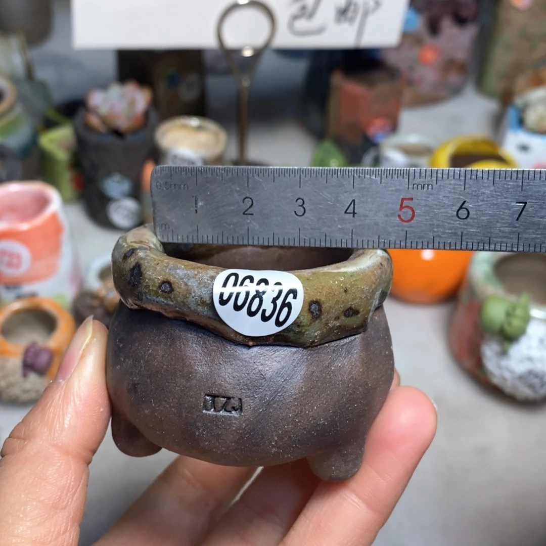 花盆拍3送一个小礼物