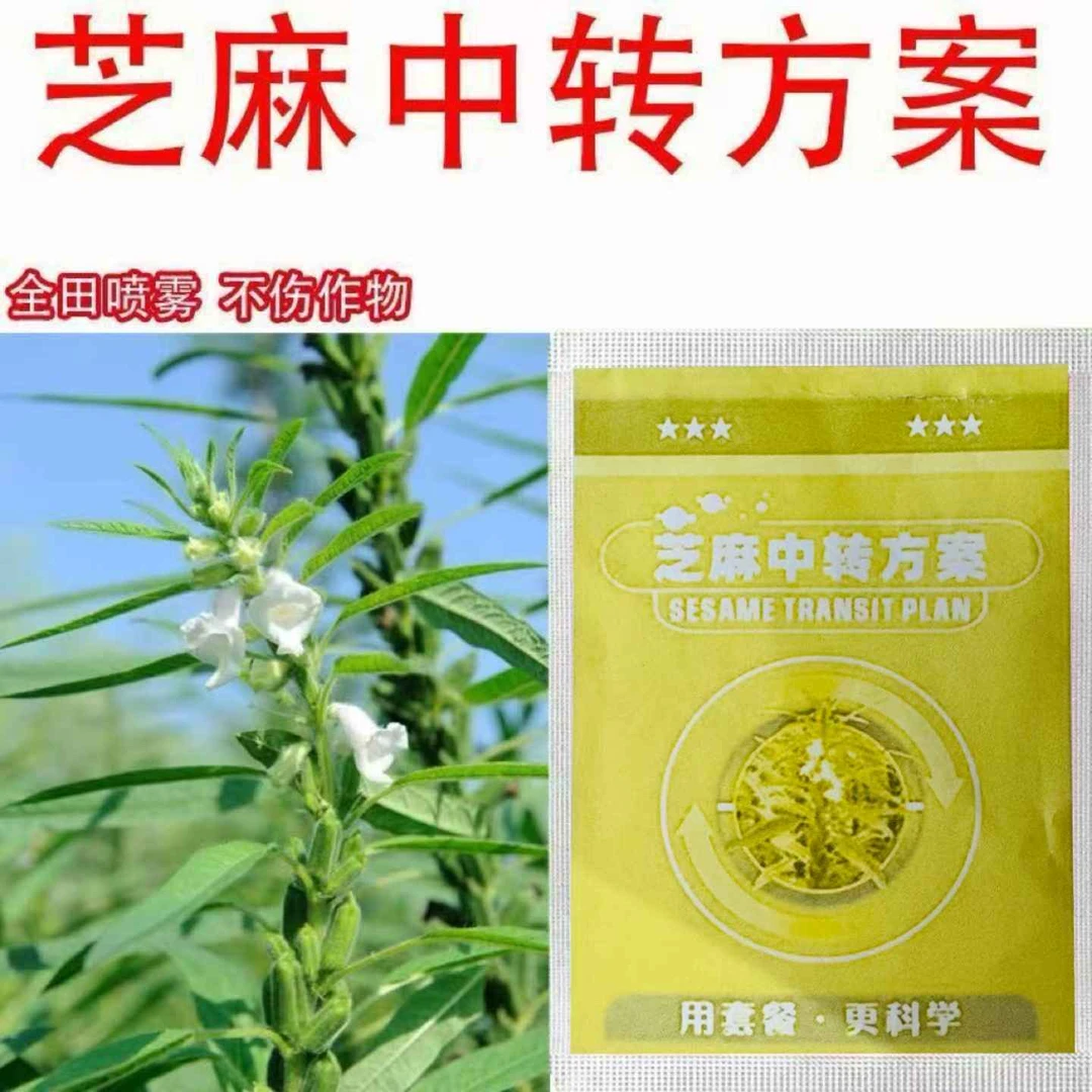 芽芝麻地芝麻苗升级版中转方案芝麻苗提质增产有机质肥料