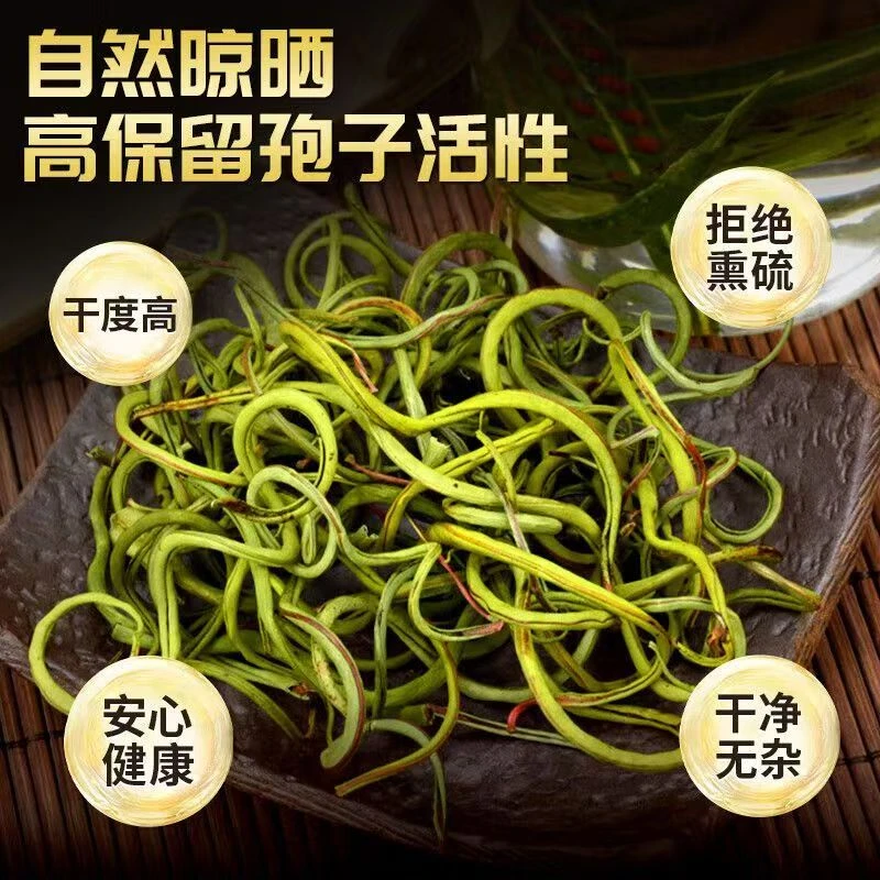 【长白山野生肾精草】小叶肾精草多包子纯天然野生黄金茶叶养生茶