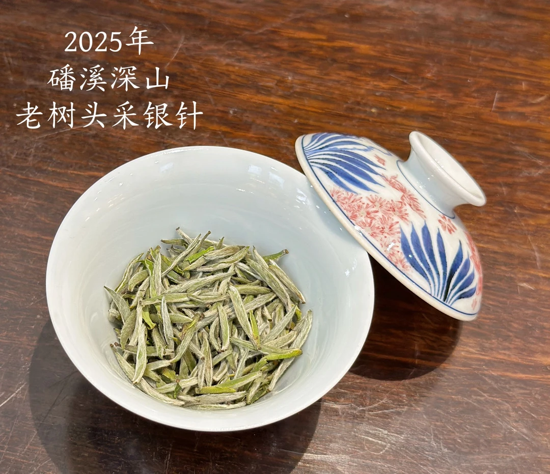 2025年/老树头采白毫银针/磻溪深山纯料/毫香、花香悠扬/清甜柔润