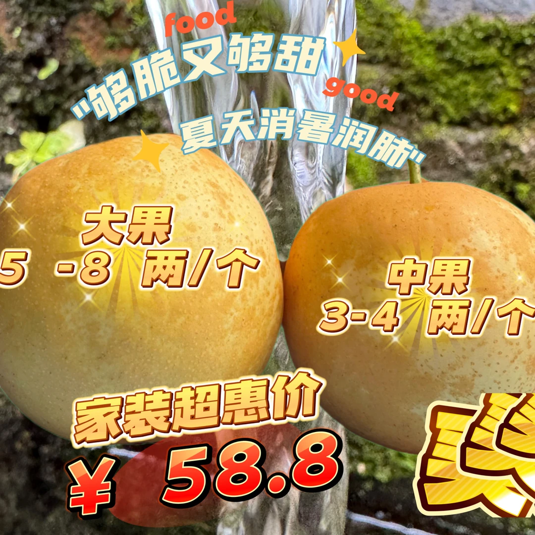 连州特产地标潭岭水晶梨特惠中果十斤装解暑爽脆蜜甜多汁