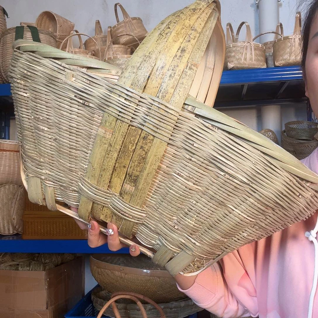 中号458558888888555