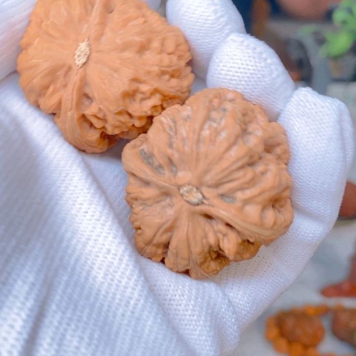 文玩核桃把件大粗筋