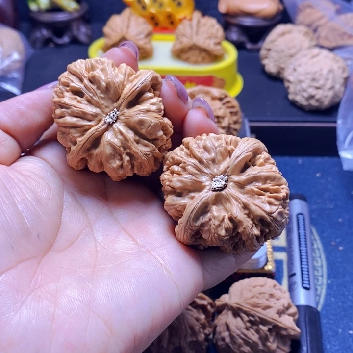 等***来文玩核桃把件粗筋