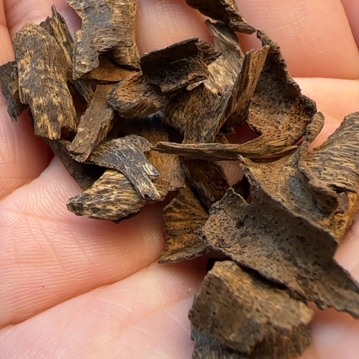 沉香摆件海南沉水鸡母虫5克