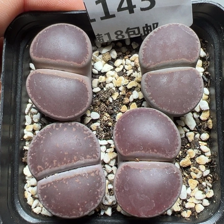 【闪购商品】143……