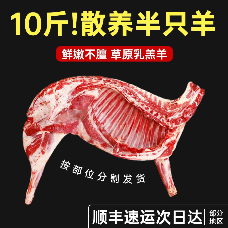 半只羊正宗原切散养草原羔羊到手10斤顺丰发货（分割发货  无礼盒）