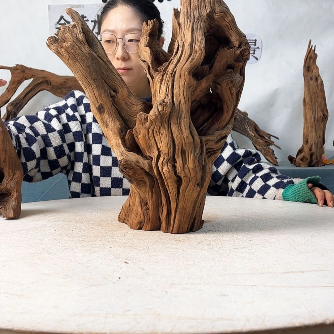 沉木造景寄居蟹景