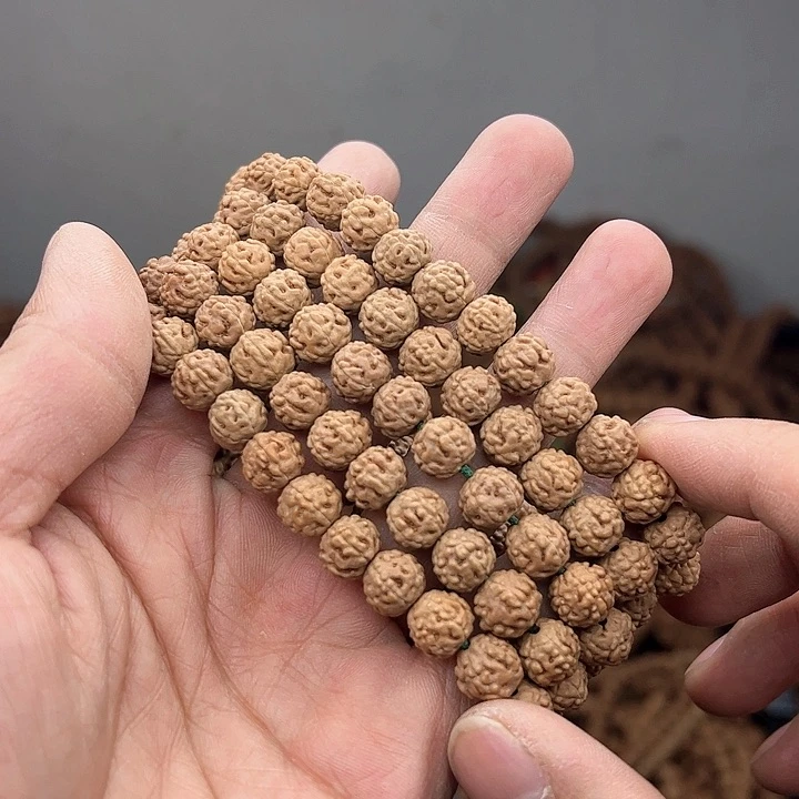 金刚菩提手串谦****韦蛤蟆