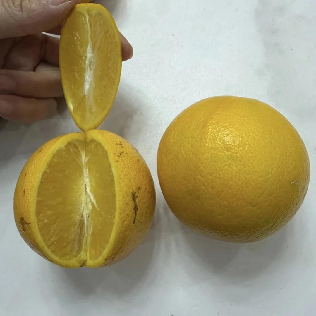 1冰糖橙/48小时内现摘现发货
