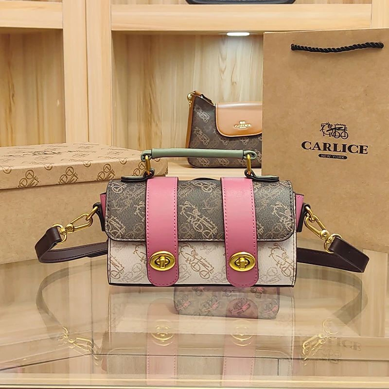 【淼淼专属】涂鸦马车轻奢精致拼色复古高奢潮流印花气质女士斜挎包