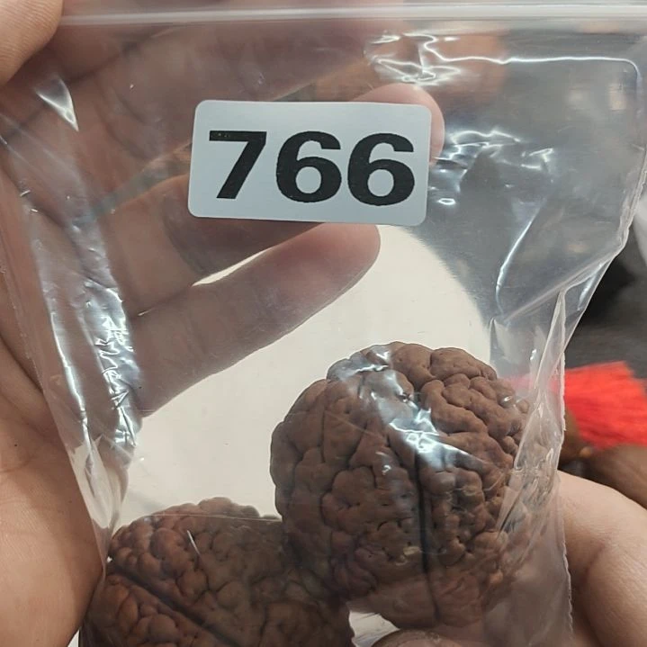 文玩核桃吊坠七**令文玩核桃