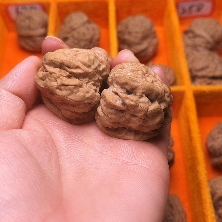崖柏涞水山地果干莫头618号