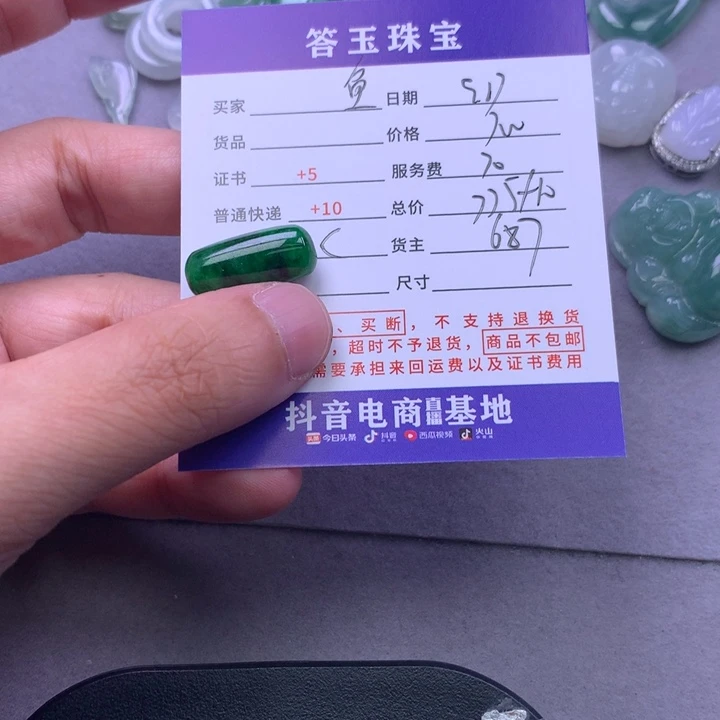 颈饰未镶嵌翡翠鱼***号