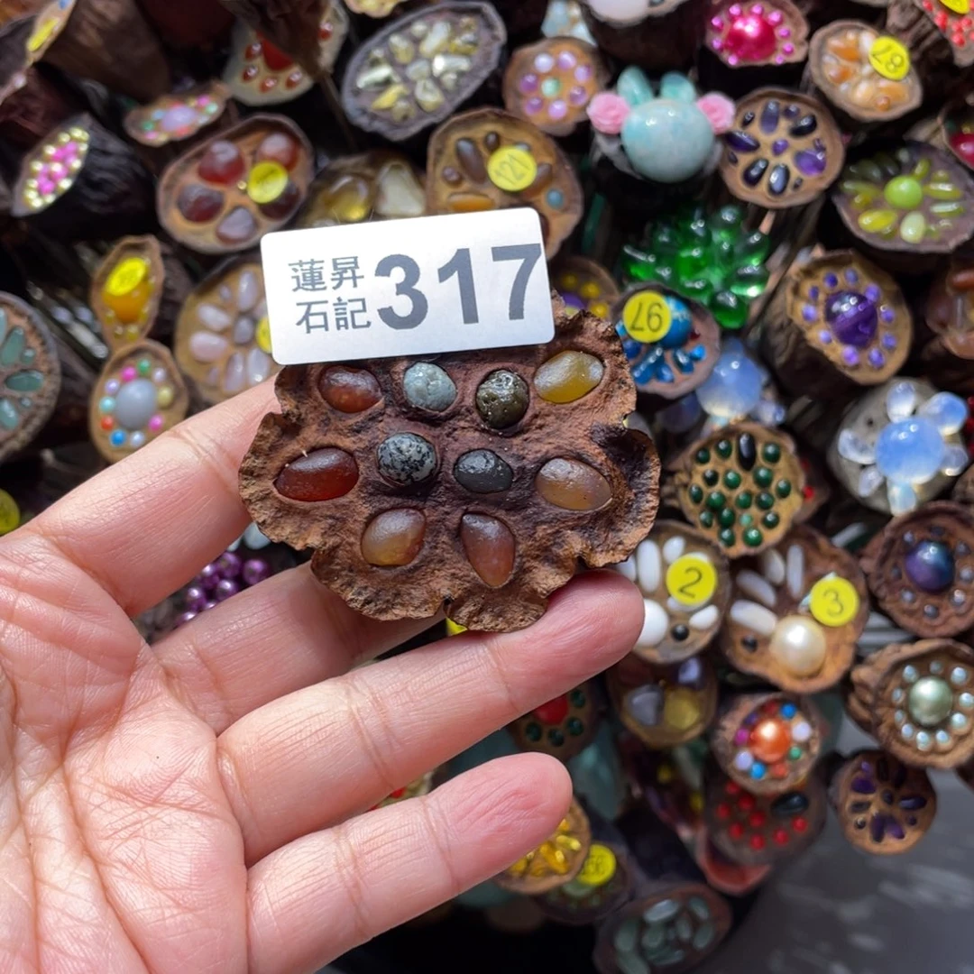 核桃木/黑胡桃（胡桃木）乔***?317