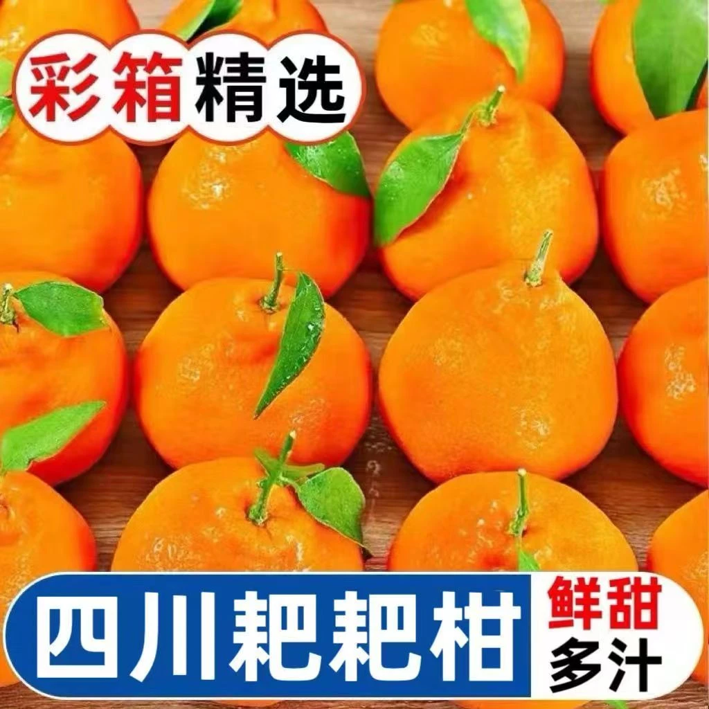 正宗四川眉山耙耙柑酸甜爆汁现摘现发产地直发新鲜应季水果整箱