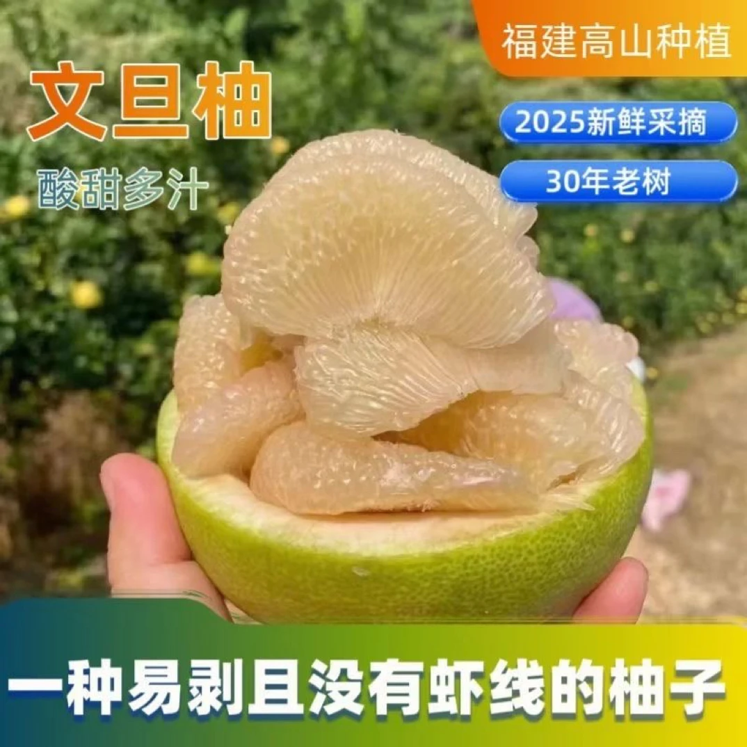 福建35年老树度尾文旦柚子红心蜜柚新鲜当季现摘孕妇老人水果包邮