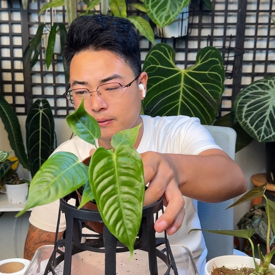 无花朵C***e一物一拍F140